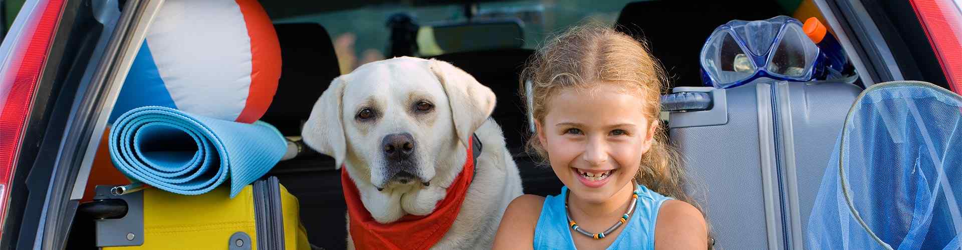 Casas rurales que admiten perros en Higuera de las Dueñas