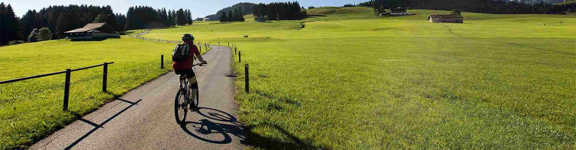 casa rural con alquiler de bicicletas en Bimenes