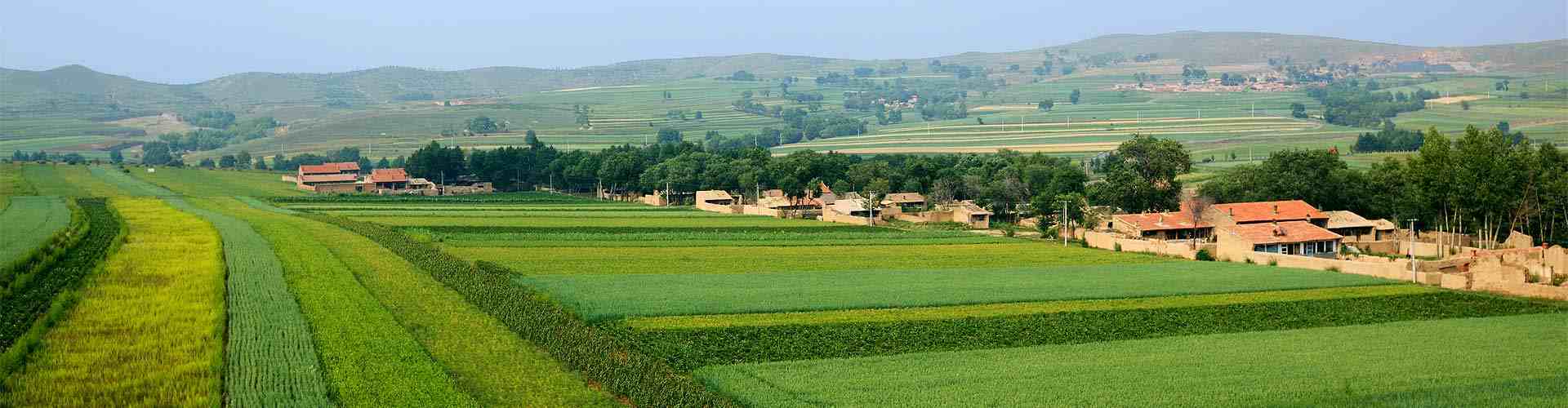 Casas rurales en Vilarbacu