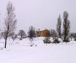 Casa rural Cortijo Orihuelo