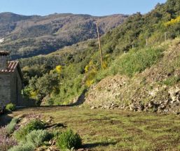 Casa rural Can Rovira de Fogars