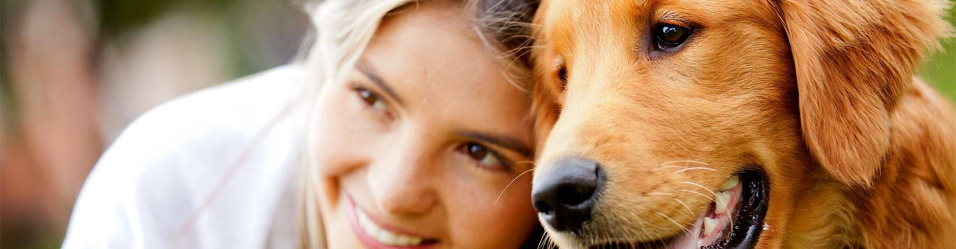 Casas rurales que admiten perros en Sant Martí Vell