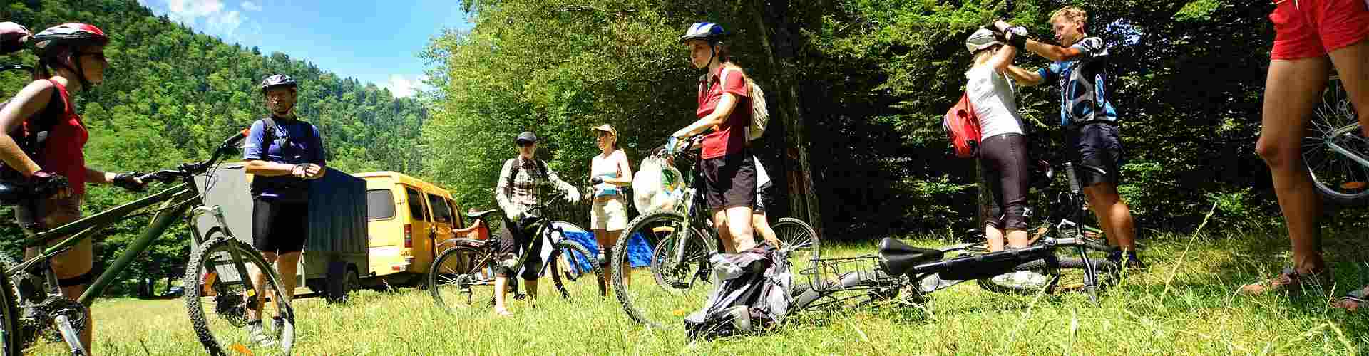 casa rural con alquiler de bicicletas en Bustariega