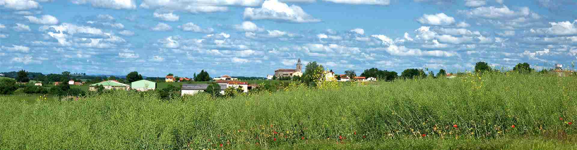 Casas rurales en Casas Blancas