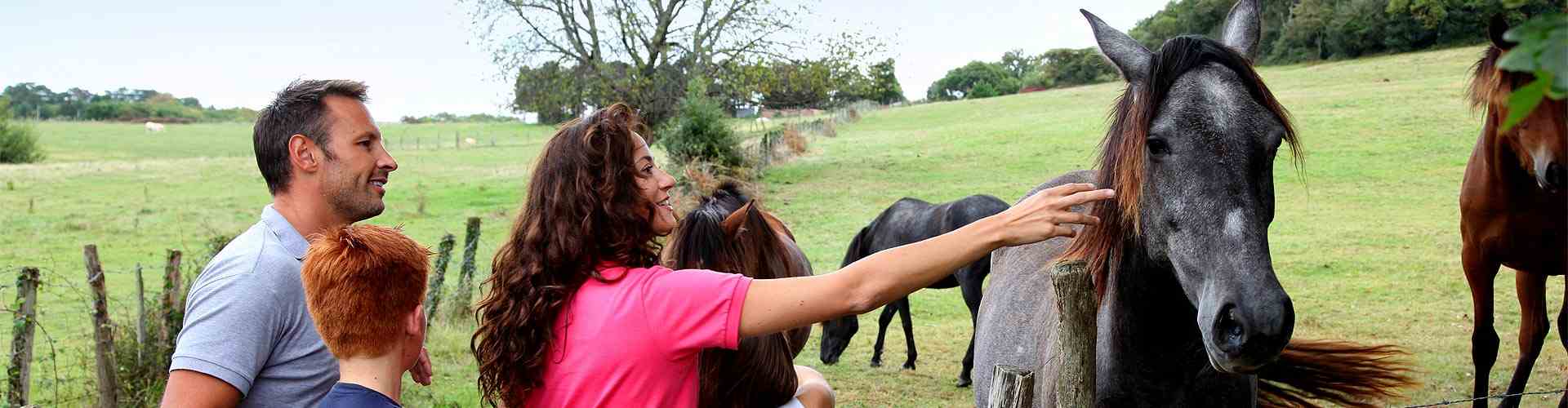 Casas rurales en Llampaies