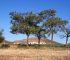 La Quintería de Mora - Casa rural en Mora