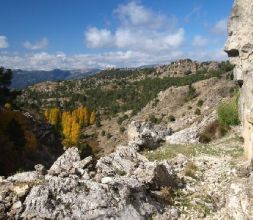 Ruta de senderismo del arroyo Zarabanda