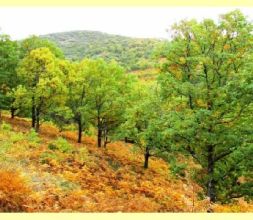 sierra en otoño