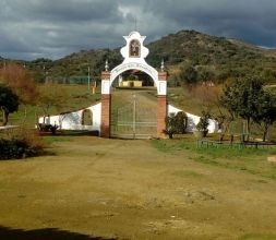 Ermita flores
