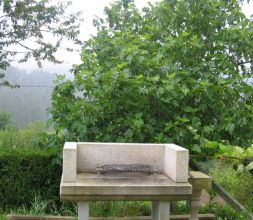 barbacoa en la finca