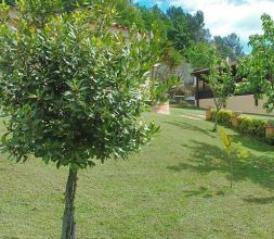 Jardín privado