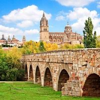 Casas rurales en Castillejo de Martín Viejo