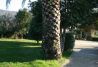 entrada a la finca