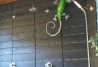 Duchas en patio