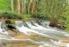 Sendero del río