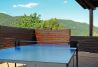 Mesa de ping-pong