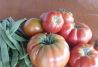 Verduras ecológicas propias
