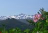 Vistas a los Picos de Europa