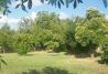 Jardín