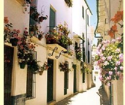 Casa rural La Posada Real