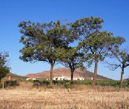 Casa rural La Quintería de Mora