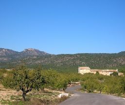 Casa rural Rambla - La Higuera