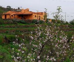 Casa rural La Correa del Rosal