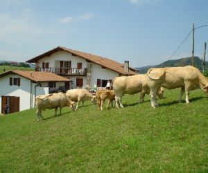 Casa rural Alkeberea